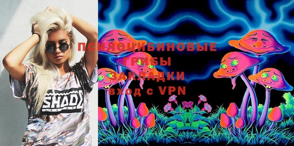 apvp Богданович