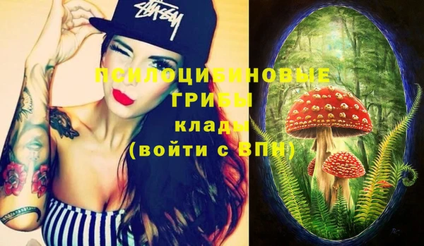 apvp Богданович