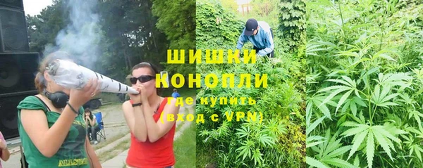 mdpv Богородицк
