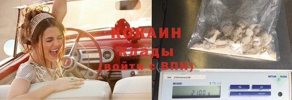 mdpv Богородицк