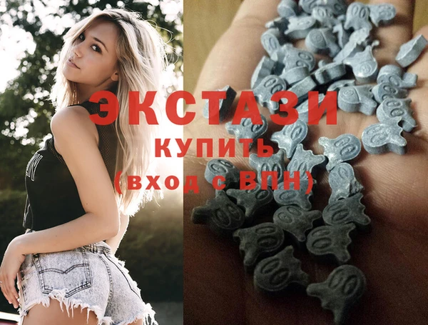 mdpv Богородицк