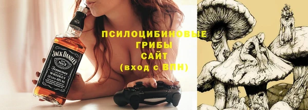 прущий лед Богородск