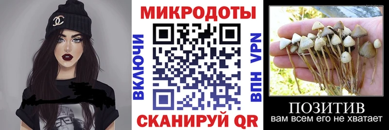 Псилоцибиновые грибы прущие грибы Дюртюли